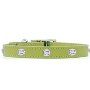 Green Genuine Leather Dog Collar With Bone Rivets